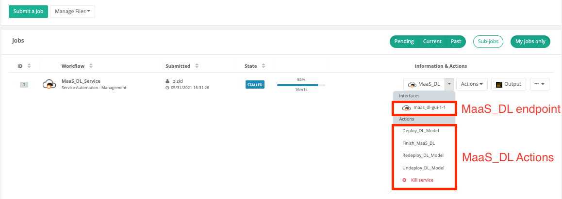 MaaS DL Workflow Management