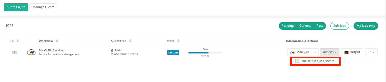 Terminate MaaS DL